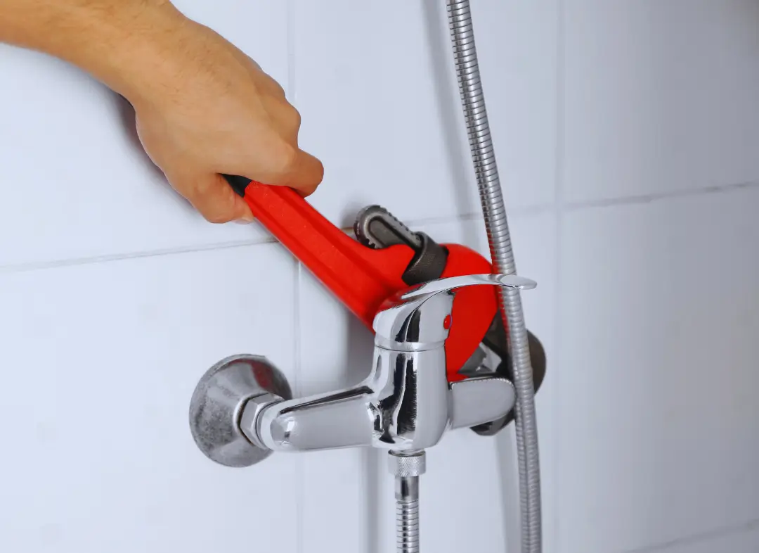 Mitigeur Thermostatique douche Aime-la-Plagne